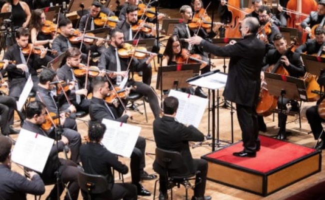 WhatsApp Image 2026-01-21 at 16.29.38