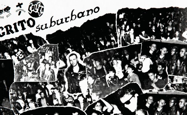 WhatsApp Image 2026-04-20 at 14.31.56